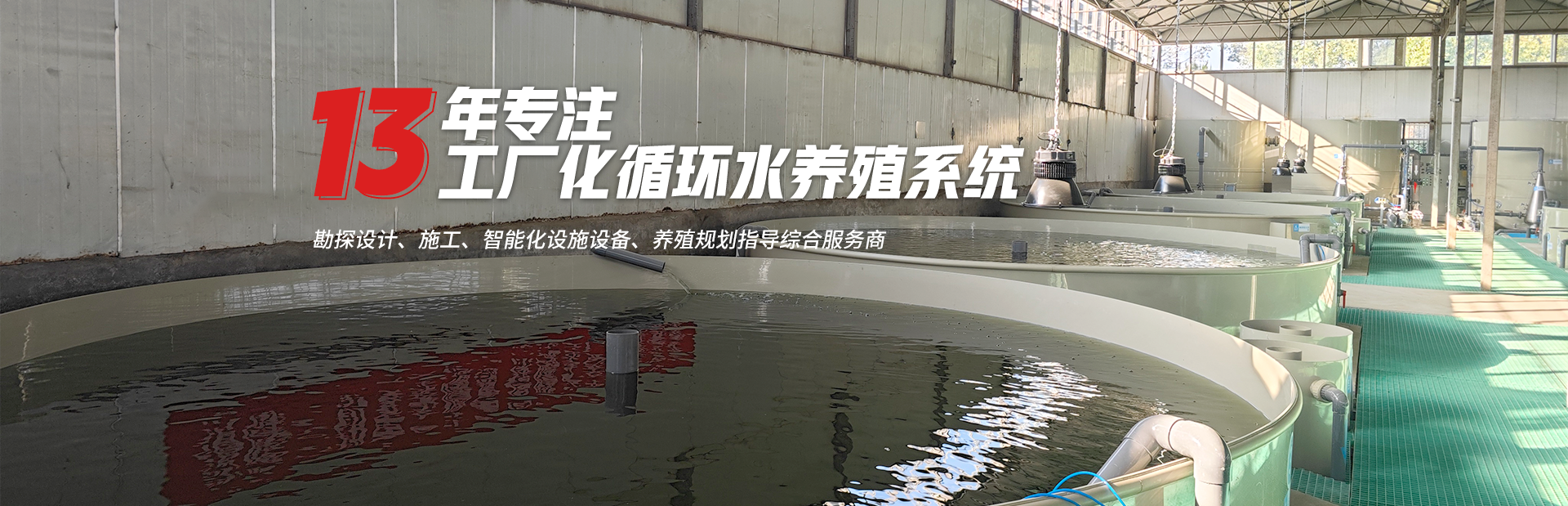 工厂化循环水系统