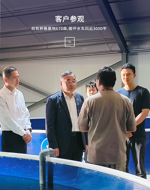 养鱼专用水质检测仪