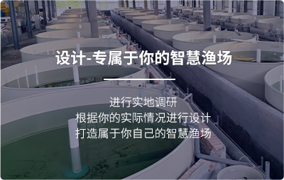 在线溶氧仪