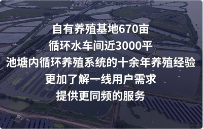 水质检测仪