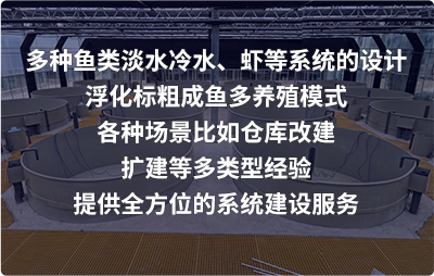 溶氧仪