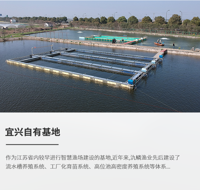 宜兴自有基地--高密度养鱼池