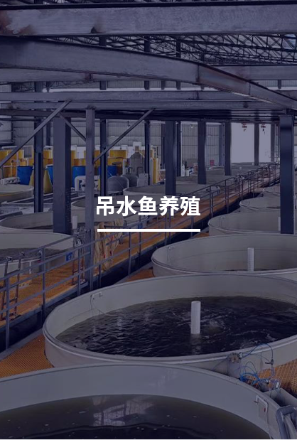 吊水鱼养殖--工厂化养鱼全套设备
